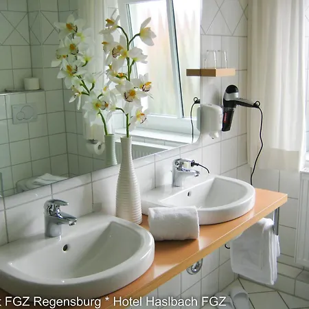 Komfort Apartmenthaus Haslbach Fgz