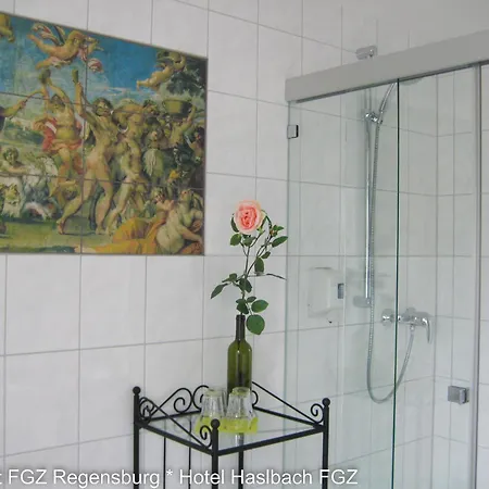 Apartment Komfort Apartmenthaus Haslbach Fgz *